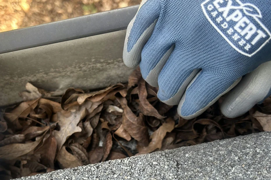 Gutter Cleaning Tar Corner